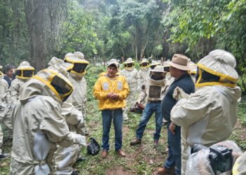 Huella Verde: El BDP impulsa la competitividad y sostenibilidad de 300 productores