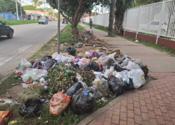 Basura sin recoger se acumula en la capital cruceña