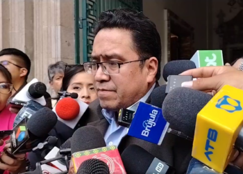 Siles anuncia que se solicitó información a Argentina sobre denuncia contra Evo