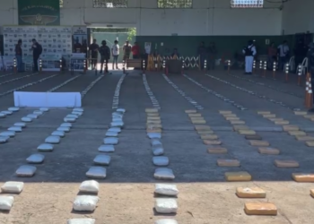 En cinco operativos antidroga, la FELNC afecta al narcotráfico en más de $us 2,68 millones