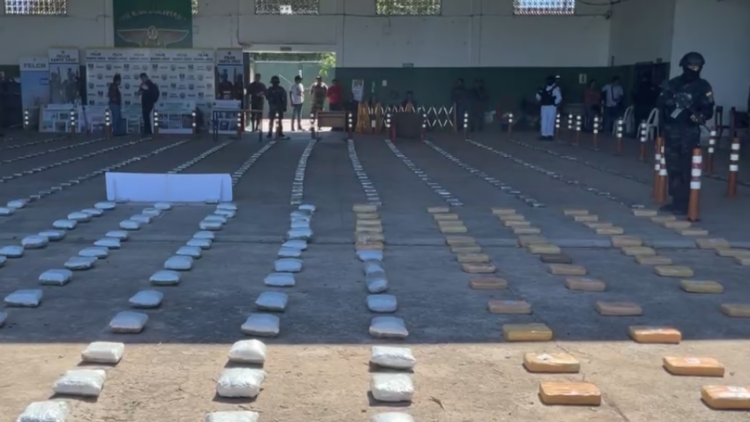 En cinco operativos antidroga, la FELNC afecta al narcotráfico en más de $us 2,68 millones