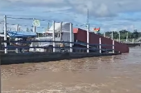 Mamoré