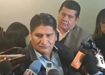 Diputado arcista dice que posible candidatura a las presidenciales de Andrónico unificará al MAS