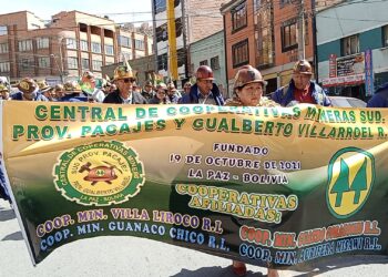 ¿Qué ocurre con las cooperativas en Bolivia?