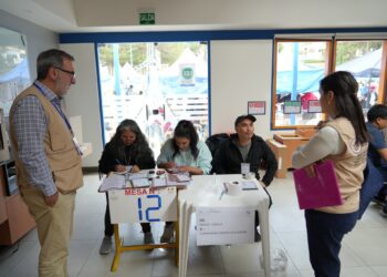 OEA hace un llamado ‘enérgico’ para concluir de ‘manera urgente’ la selección de magistrados del TSJ y TCP