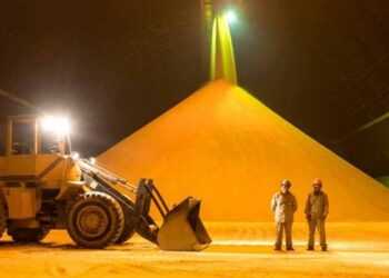 Caniob: está garantizada la harina de soya para el país