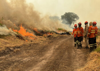 Actualmente, en el país, se registran incendios activos en cuatro departamentos.