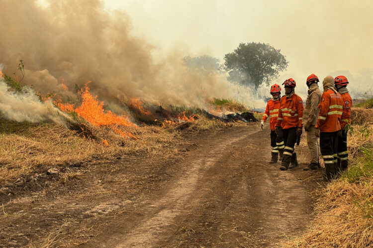 Actualmente, en el país, se registran incendios activos en cuatro departamentos.