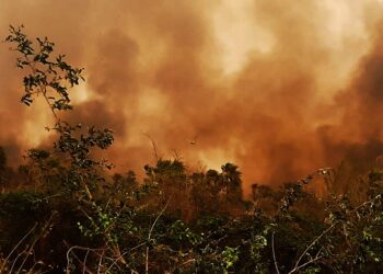 Récords de emisiones de carbono en continente americano a causa de los incendios