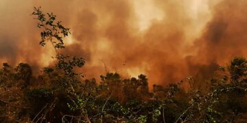 Récords de emisiones de carbono en continente americano a causa de los incendios
