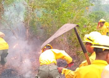 Cesa el fuego en Santa Cruz y la Gobernación reporta cero incendios