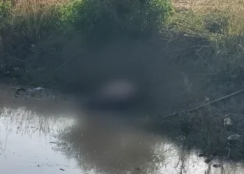 Paulina fue encontrada sin vida, en un estanque en el municipio de Sacaba.