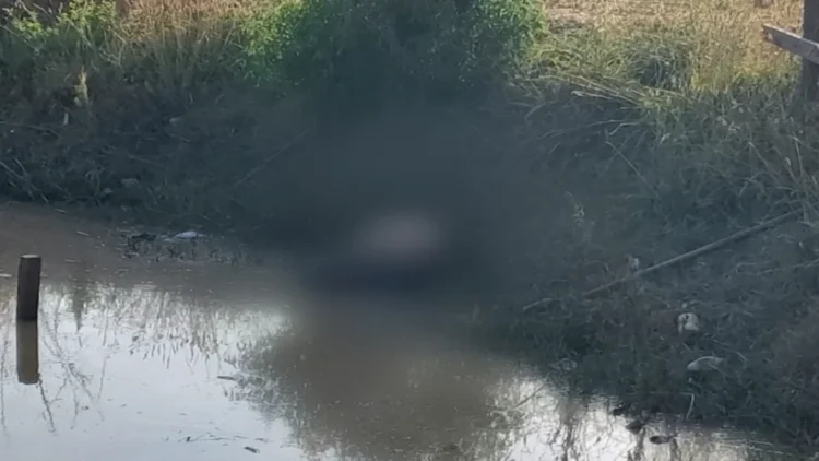 Paulina fue encontrada sin vida, en un estanque en el municipio de Sacaba.