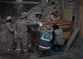 Jaguares tendrán su nuevo hogar en el bioparque Vesty Pakos