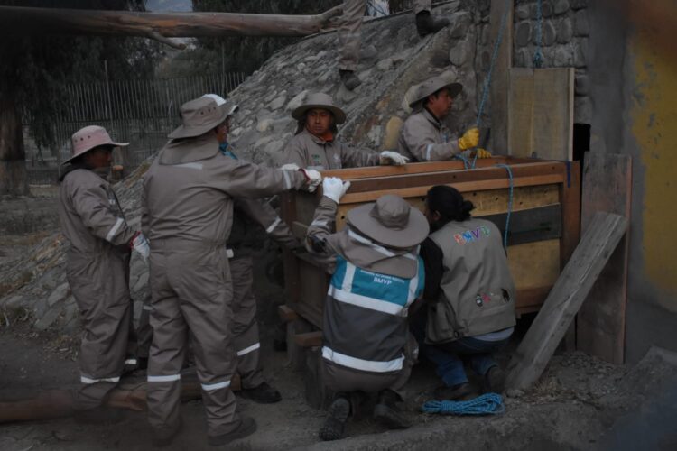 Jaguares tendrán su nuevo hogar en el bioparque Vesty Pakos