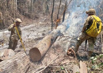 Defensa Civil declara apagado el incendio en el Parque Madidi