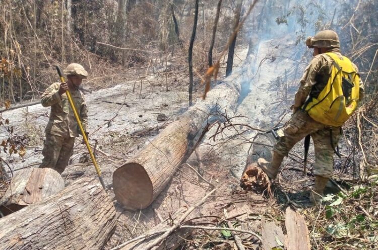 Defensa Civil declara apagado el incendio en el Parque Madidi