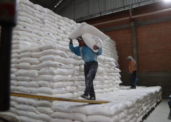 Emapa distribuirá desde este lunes 7.000 bolsas diarias de harina a panificadores