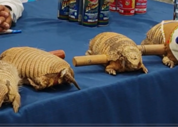 Las matracas decomisadas