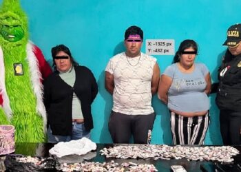 El agente Grinch ayudó a detener a los narcotraficantes