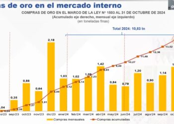 El BCB compra cerca de 11 toneladas de oro en lo que va de 2024