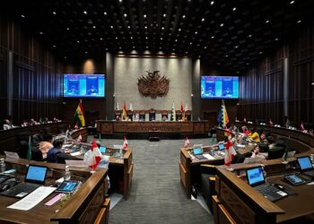 El Senado aprueba una ley corta para garantizar las elecciones judiciales de diciembre