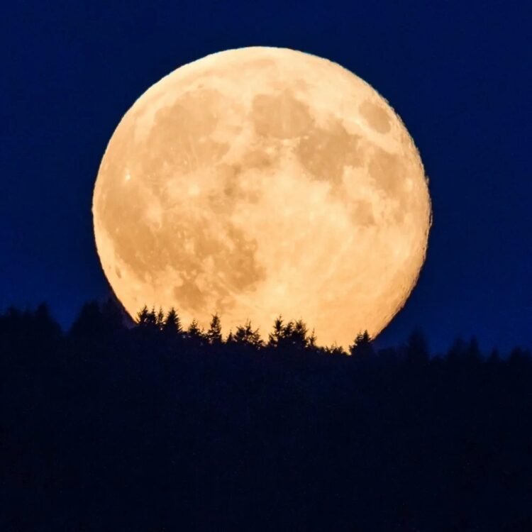 La Luna vista como Superluna en varios confines de la Tierra.