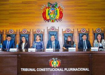 ‘Carnaval jurídico’: Cordero y Salame analizan el rol del TCP en medio de un desorden de poderes