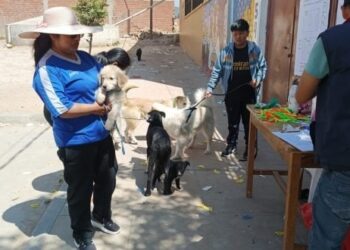 El Ministerio de Salud y la Alcaldía de Sucre alistan vacunación antirrábica casa por casa.