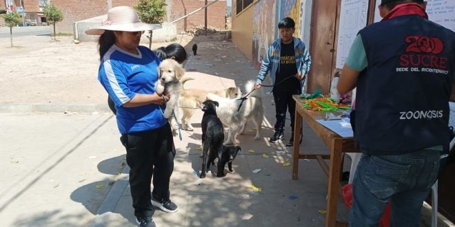 El Ministerio de Salud y la Alcaldía de Sucre alistan vacunación antirrábica casa por casa.