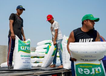 urea