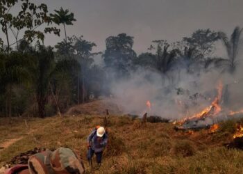 incendios