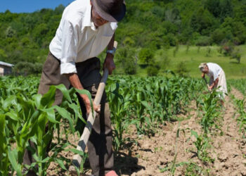 Los créditos al sector productivo superaron los Bs 100 millones en el último semestre, según la ASFI