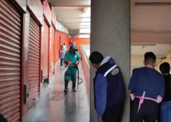 La Alcaldía limpiará y fumigará mercados.