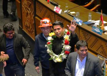 Diputado evista dice que Andrónico tiene apoyo, pero no para candidato a la presidencia