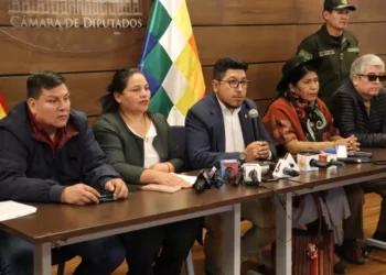 La Cámara de Diputados convoca a sesión el miércoles para conformar las comisiones y comités
