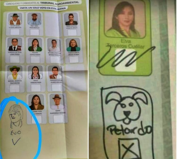papeleta