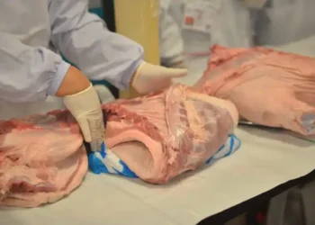 Hay ocho recomendaciones para comprar carne de cerdo.