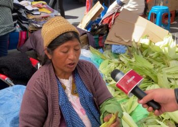 Por la crisis económica, la población recibe las fiestas de fin de año con poco entusiasmo