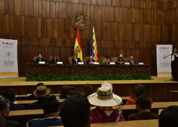 Hassenteufel dice que a la Asamblea ‘no le interesó’ resolver las judiciales complementarias