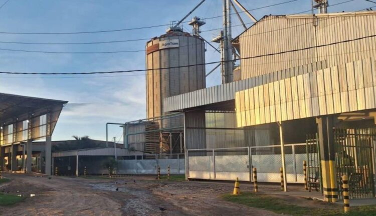 arroceros