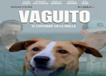 arze_vaguito.jpg