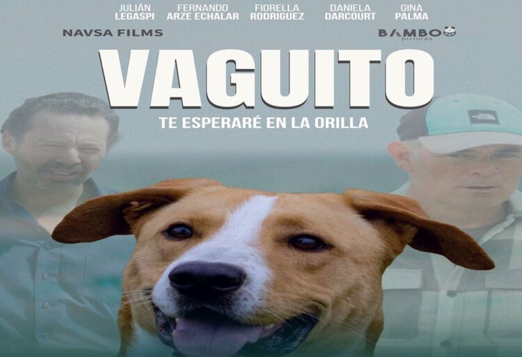 arze_vaguito.jpg
