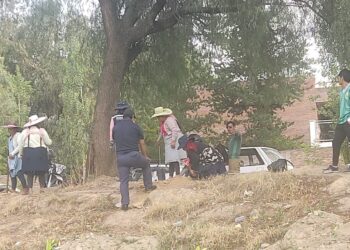 Vecinos de Linde Sur, Cochabamba, reforestaron la zona, luego de tala causada por regantes.