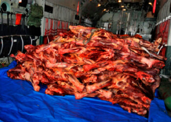 carne