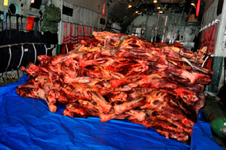 carne
