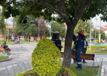 Trabajadores municipales de Cochabamba comenzaron con la instalación de luces navideñas.
