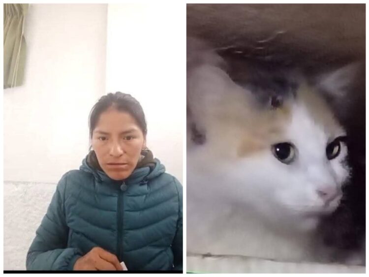 La Justicia dictó detención preventiva para la mujer que congeló gatos en la nevera.