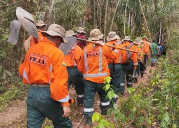 Defensa envía bomberos y un helicóptero para sofocar el fuego en el Madidi
