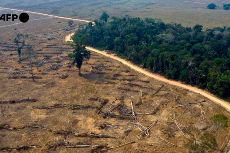 deforestacion.jpg